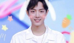 肖战粉丝团最新爆料,揭秘明星背后的故事